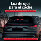 Luz de Ojos Automóvil